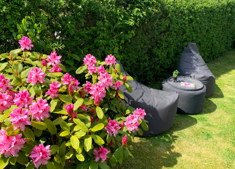 Lounge Satellite Dolce Beanbag