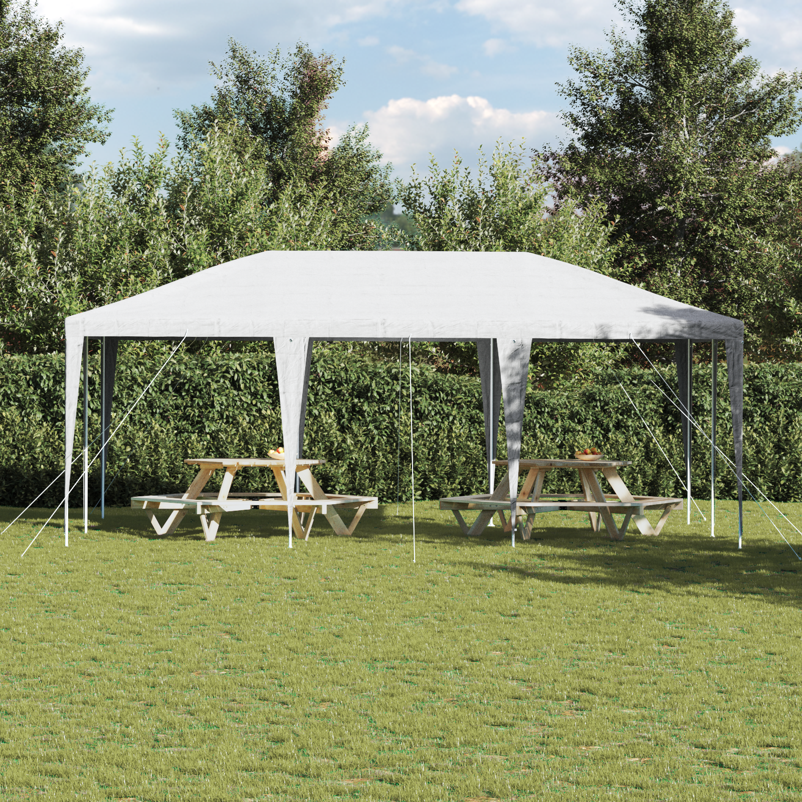 Festtelt Hvit 6x4 m PE