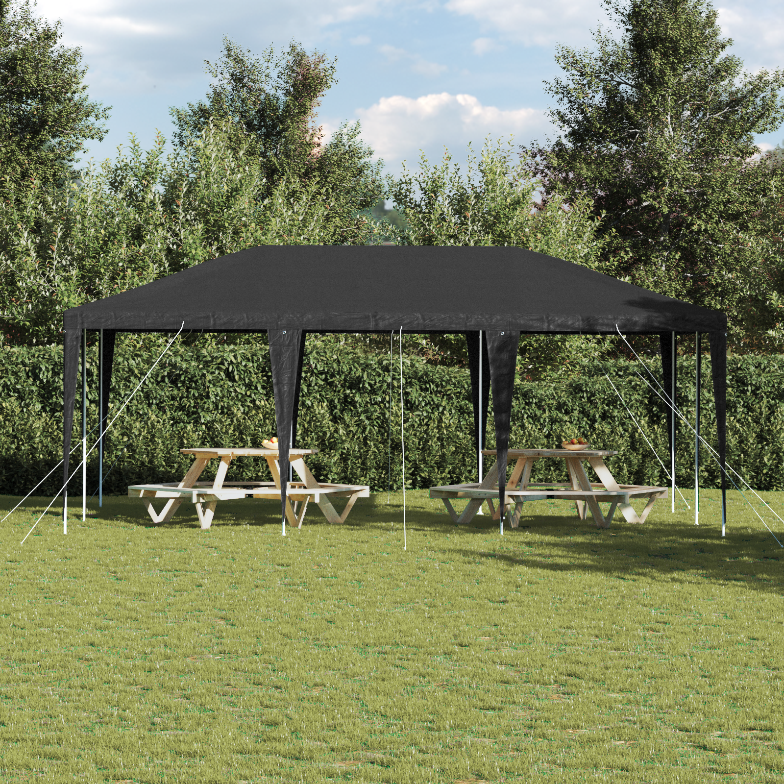 Partytelt Antrasitt 6x4 m PE