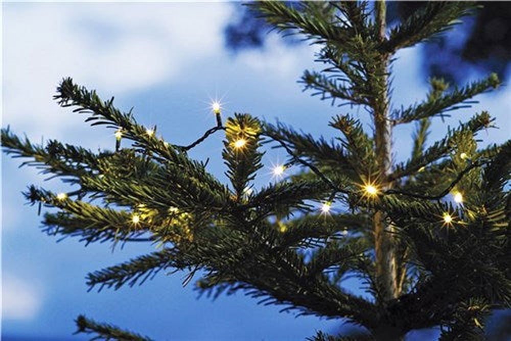 Lyslenke 40DIODER m/timer batteri, fra DAY - Fritidsshoppen.nobelysningjuljulelys